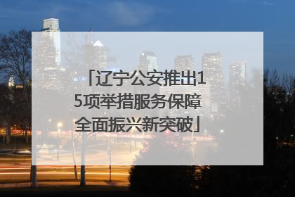 辽宁公安推出15项举措服务保障全面振兴新突破